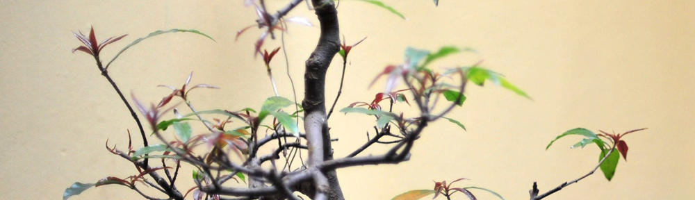 Adventista Szeretetotthon | Gyula